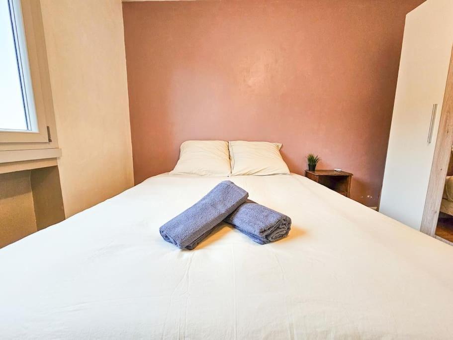 Le Bergson 3 Chambres Stationnement Gratuit Saint-Etienne  Esterno foto